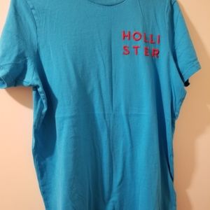 Hollister large